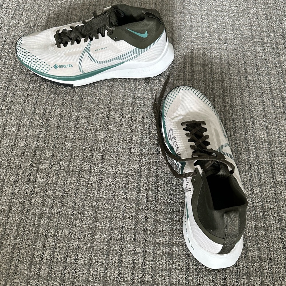 Nike Men's Pegasus Trail 4 GORE-TEX Waterproof Trail Running Shoes